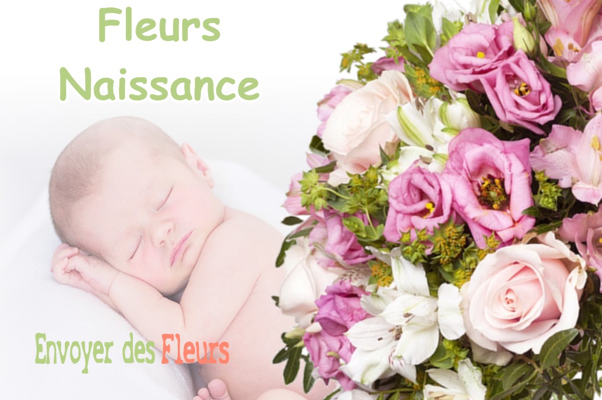 lIVRAISON FLEURS NAISSANCE à VILLEFRANCHE-DE-LAURAGAIS