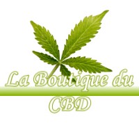 LA BOUTIQUE DU CBD VILLEFRANCHE-DE-LAURAGAIS 